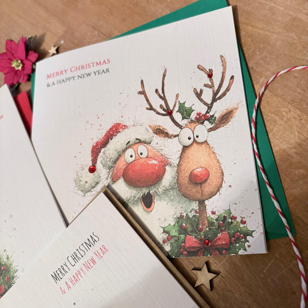 Funny Santa & Reindeer Christmas Cards - Three Designs - photo 3